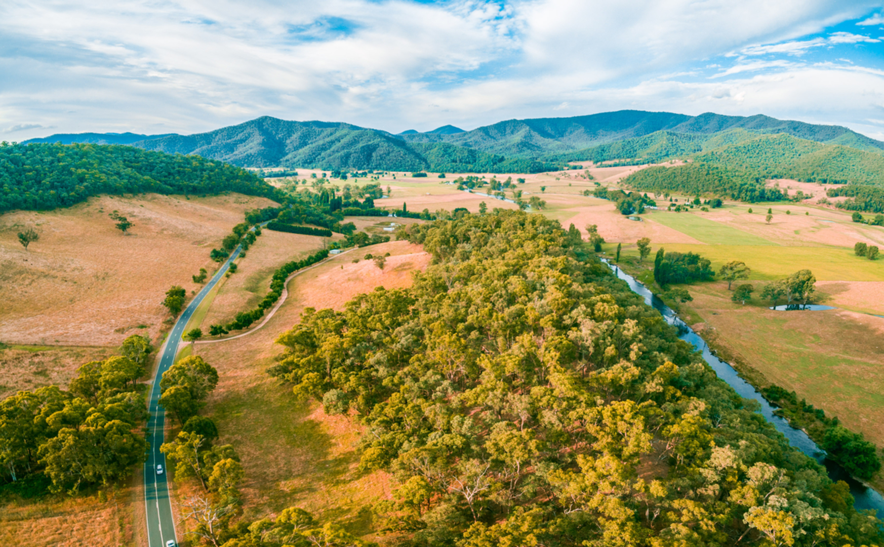An image depicting the trail Mount Welcome Trail and its surrounding area.
