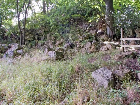 The Frith and Worgans Wood Loop