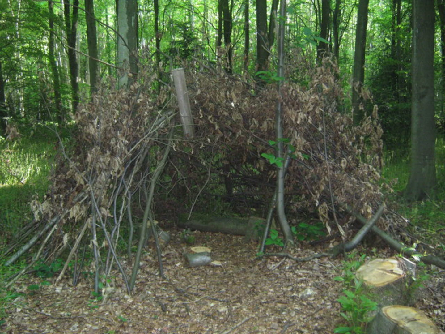 An image depicting the trail Shoreham, Halstead and Otford Loop and its surrounding area.