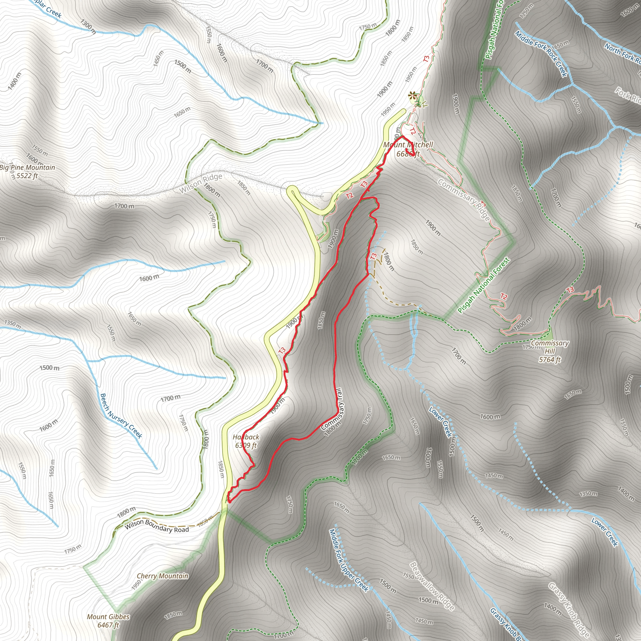 Hallback and Mount Mitchell Loop mobile static map