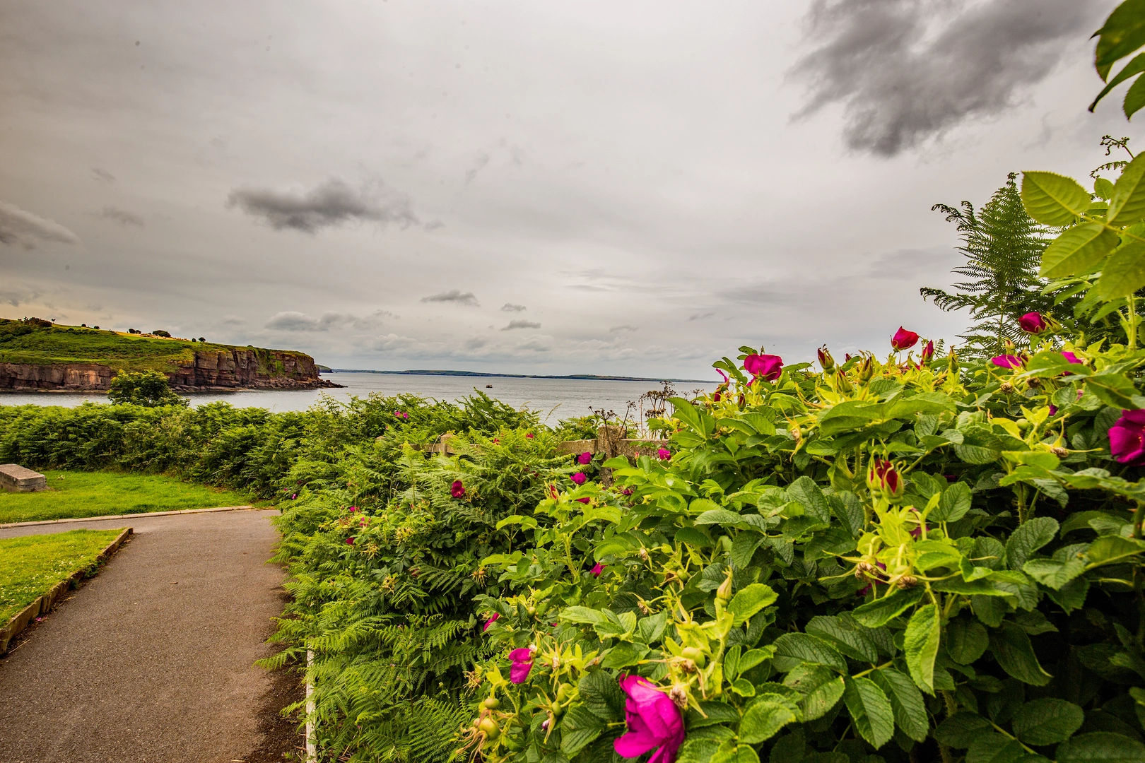 An image depicting the trail Dunmore East Cliff Walk and its surrounding area.