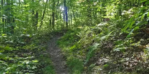 An image depicting the trail Ice Age National Scenic Trail - Chippewa Moraine and its surrounding area.
