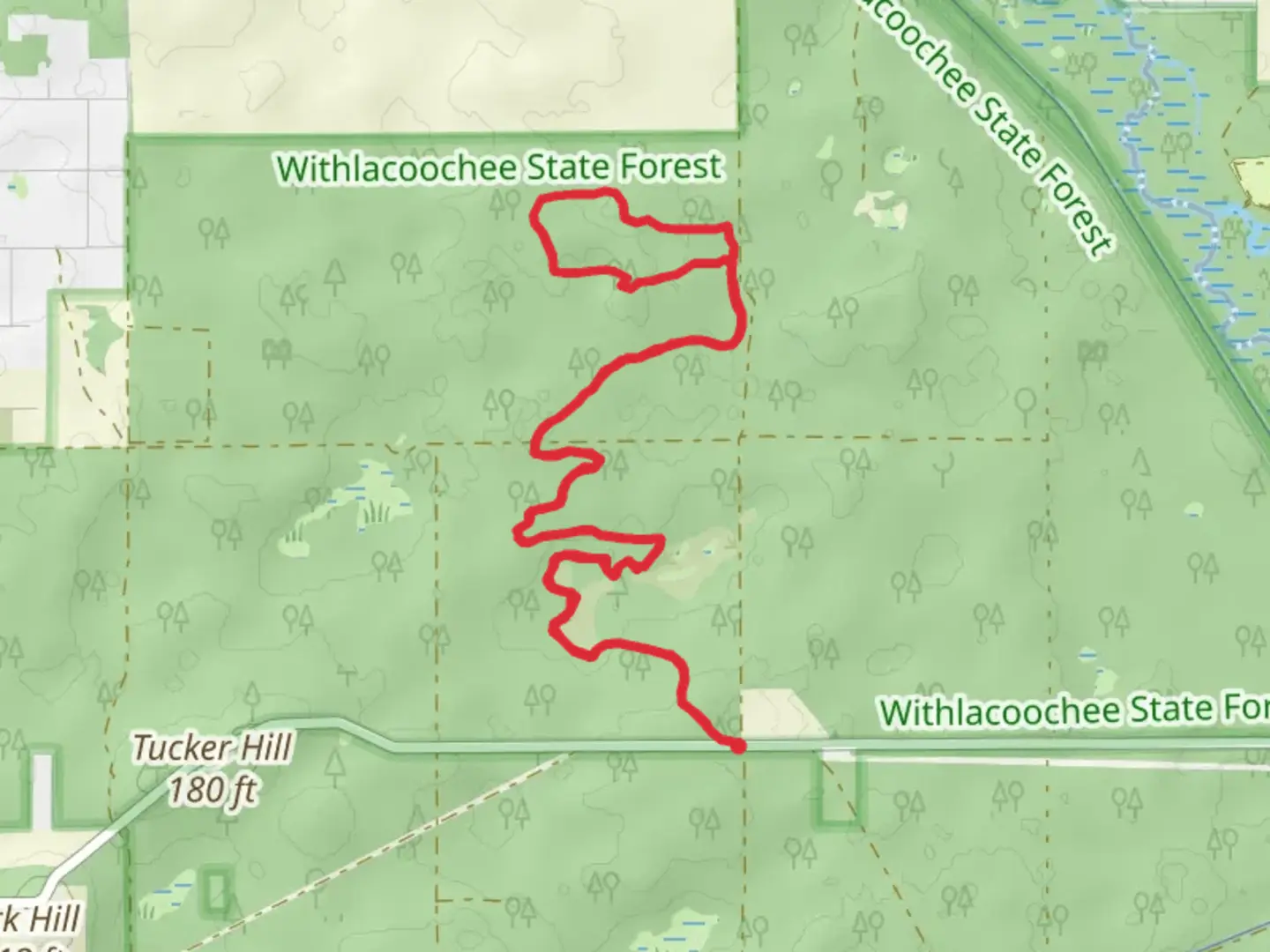 An image depicting the trail Sugar Mountain Loop via North Yellow and its surrounding area.