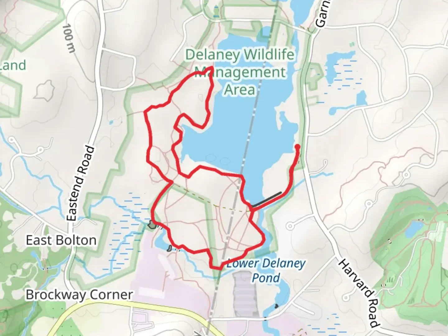 An image depicting the trail Delaney Pond Loop from Harvard Road and its surrounding area.