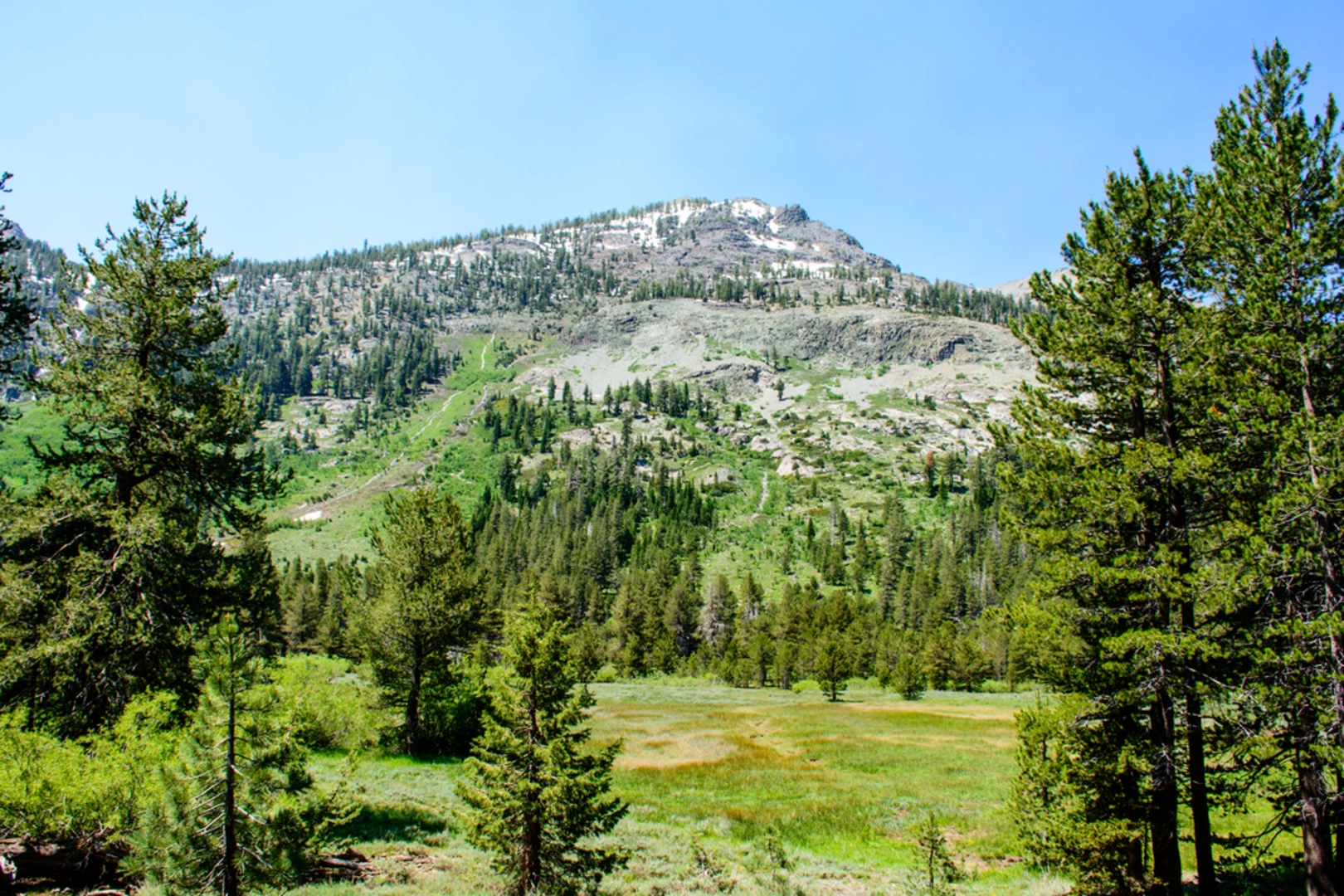 An image depicting the trail Wildrose Trail and its surrounding area.