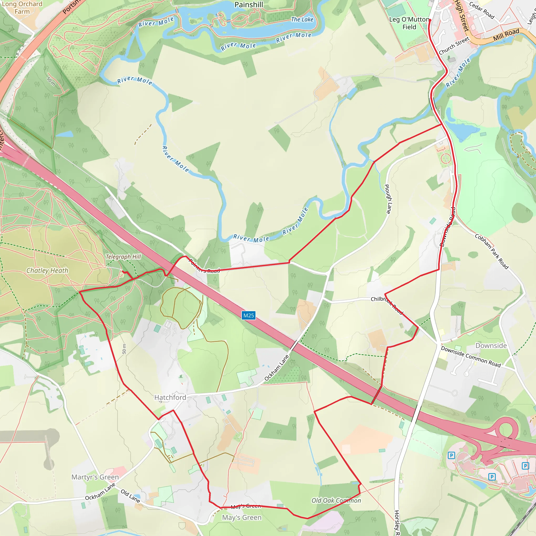 Cobham to Hatchford Loop mobile static map