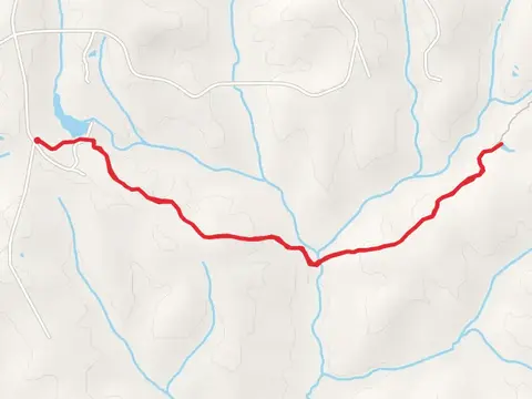 Big Branch Trail Out and Back