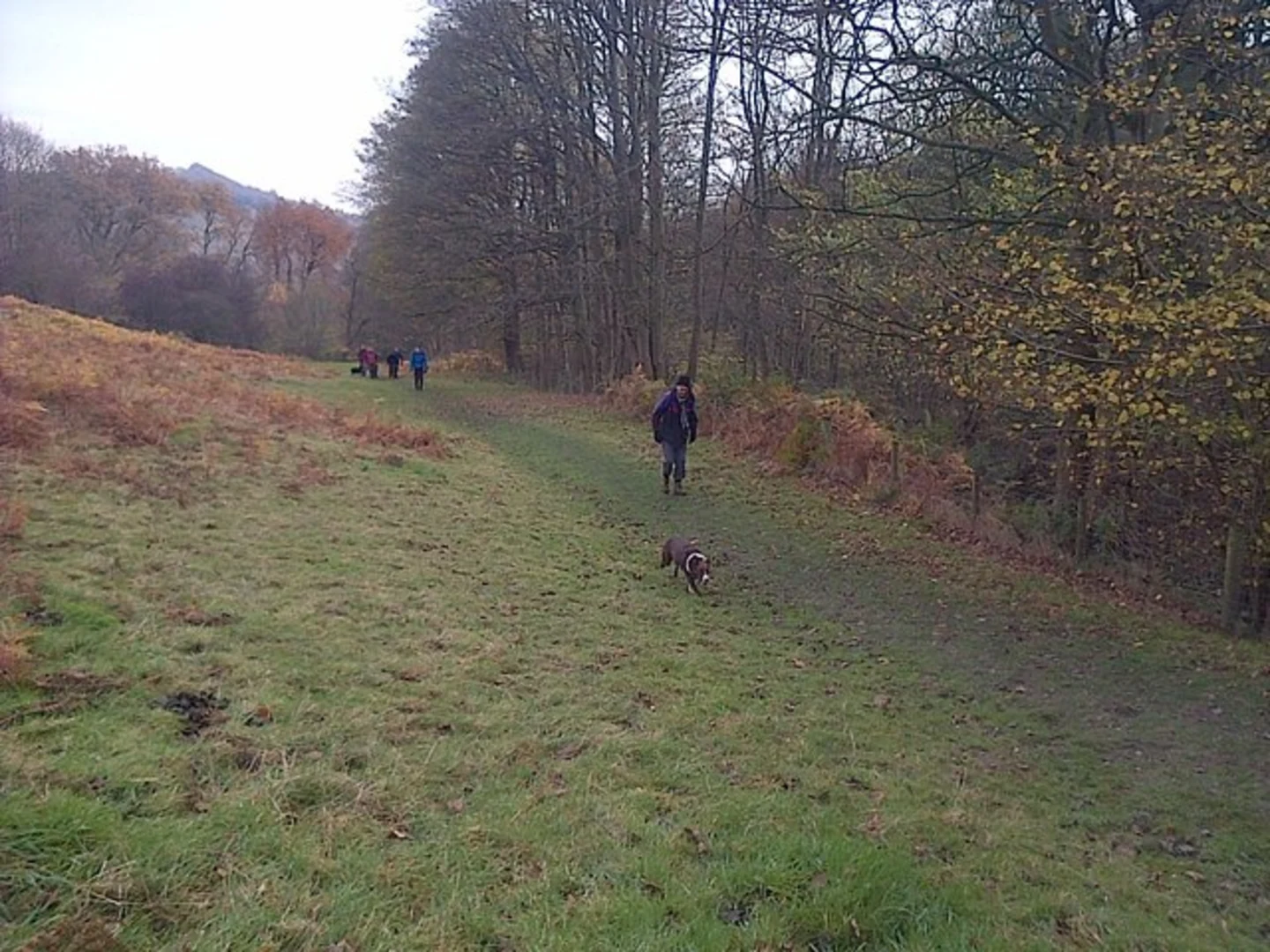 An image depicting the trail Abbey Bank Wood and High Kilburn Loop and its surrounding area.