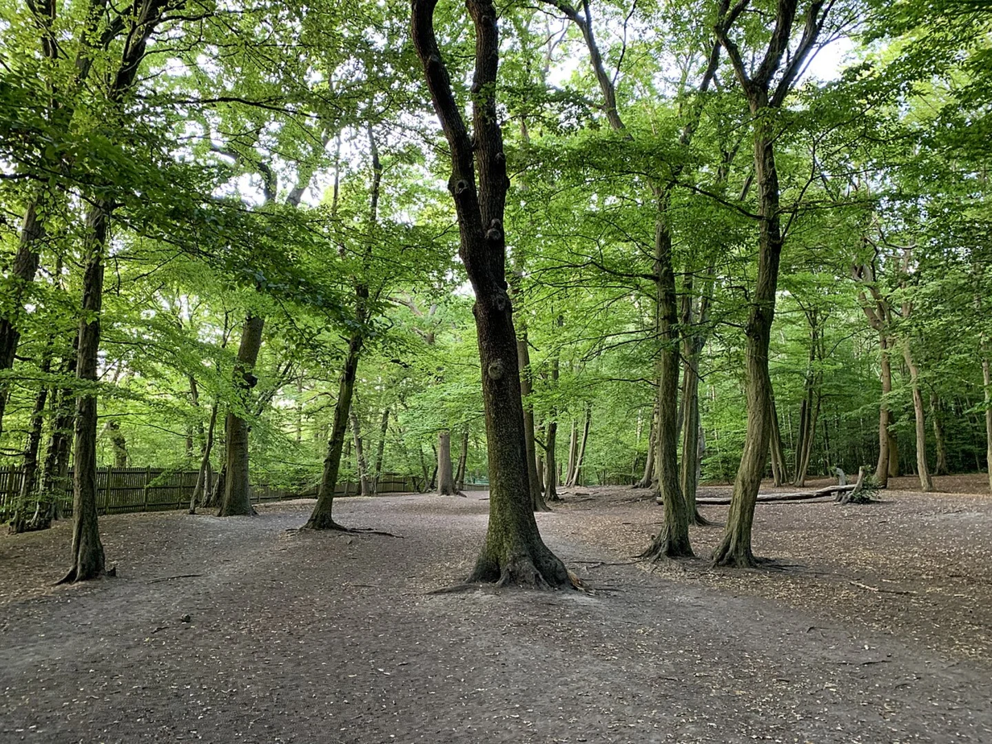 An image depicting the trail Highgate Wood and Parkland Walk Local Nature Reserve and its surrounding area.