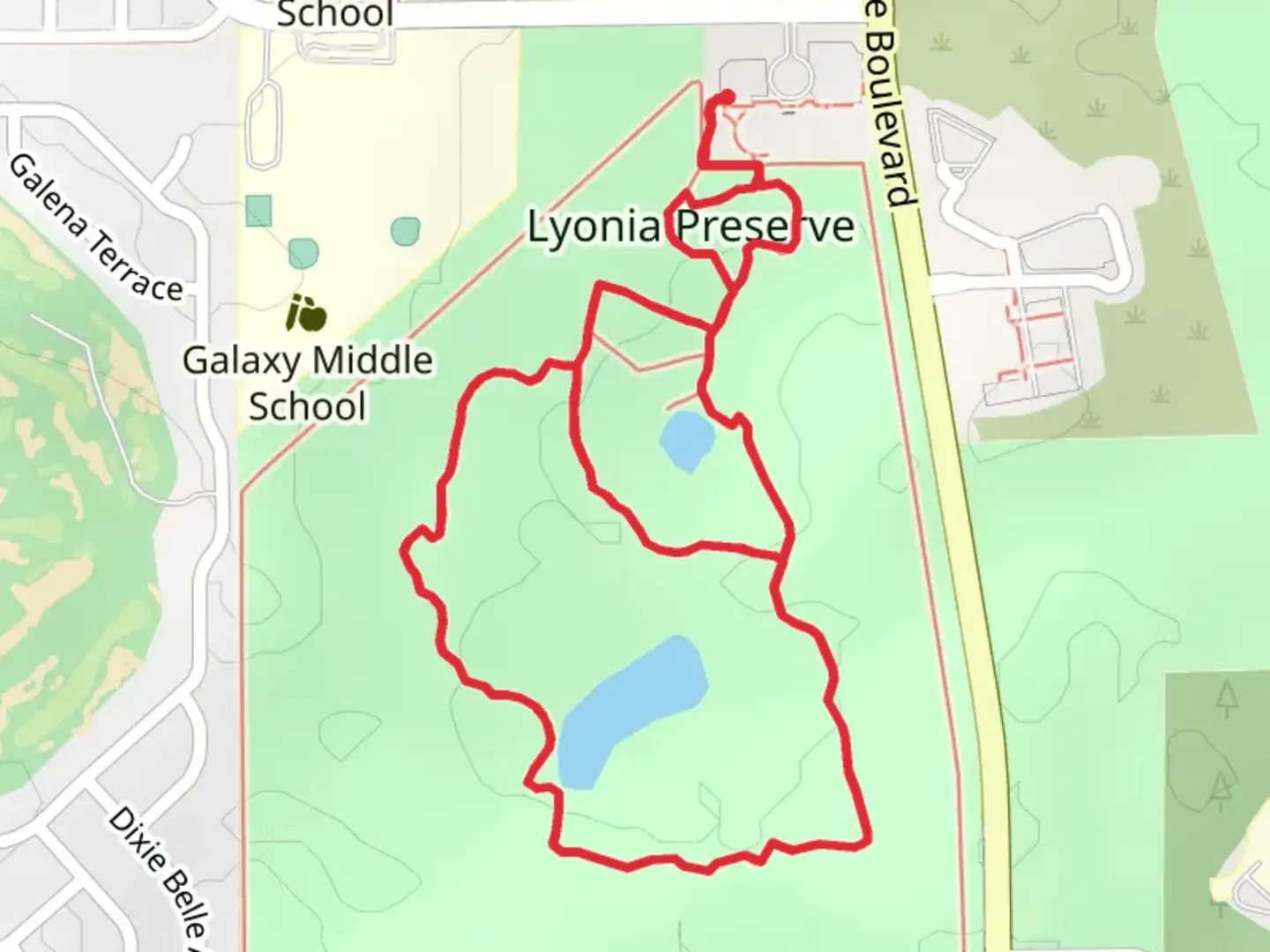 An image depicting the trail Rusty Lyonia, Red Root and Blueberry Loop Trail and its surrounding area.