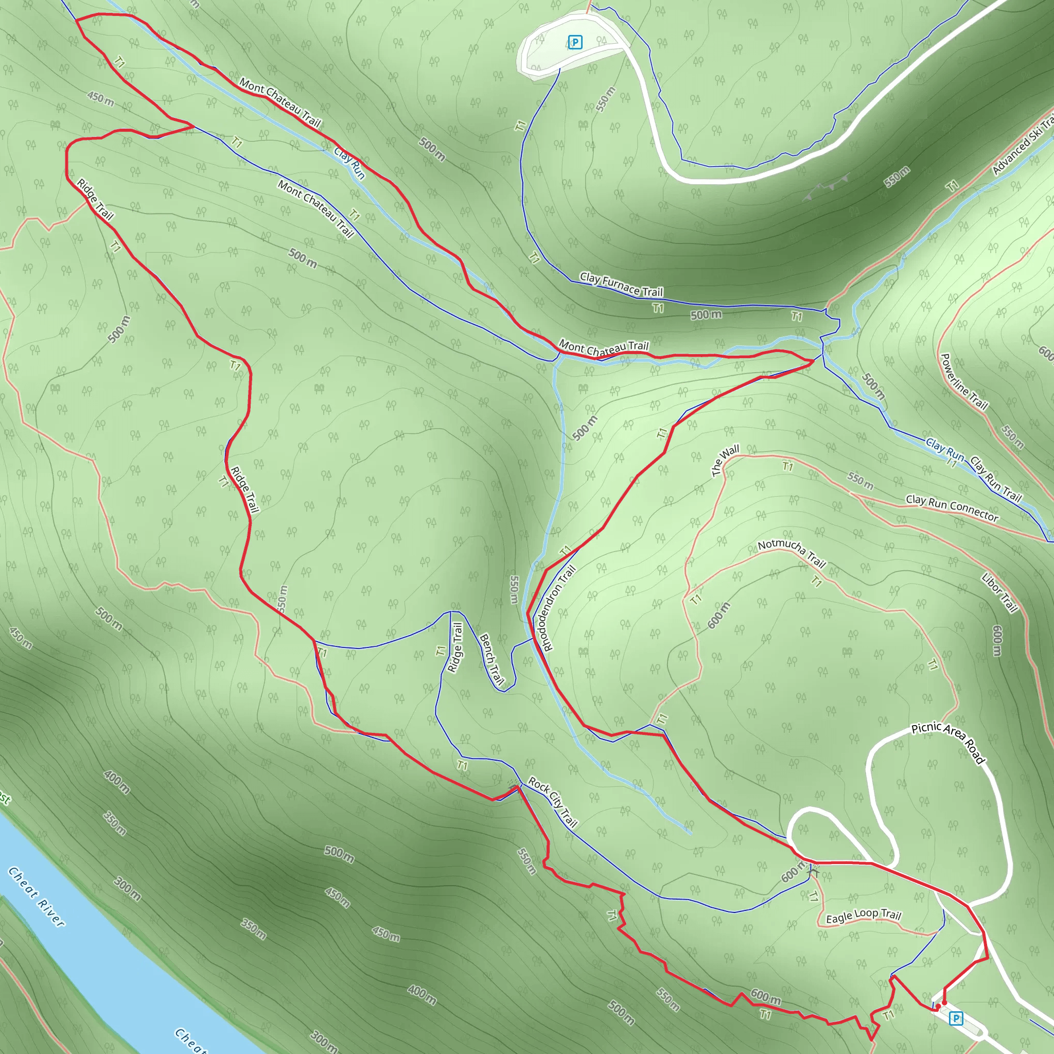 Rhododendron, Mont Chateau and Rock City Loop Trail mobile static map