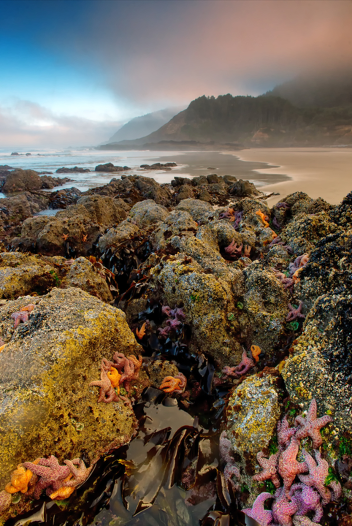 An image depicting the trail Cummins Ridge Trail and its surrounding area.