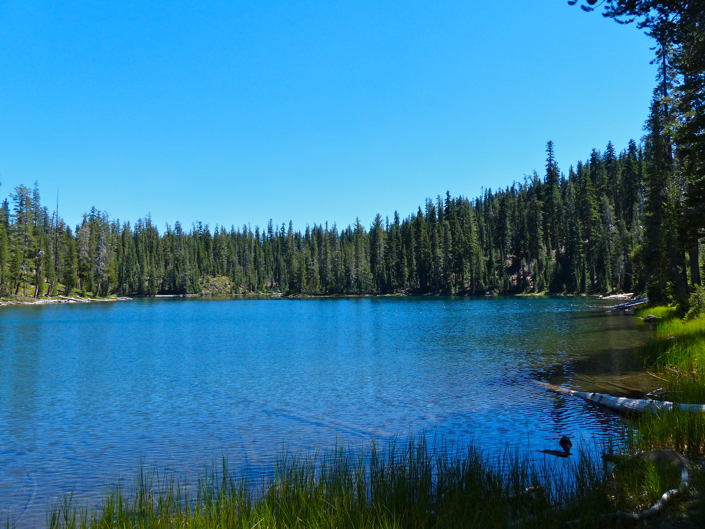 An image depicting the trail Bear Lakes Trail and Echo Lake-Twin Lakes Trail Loop and its surrounding area.
