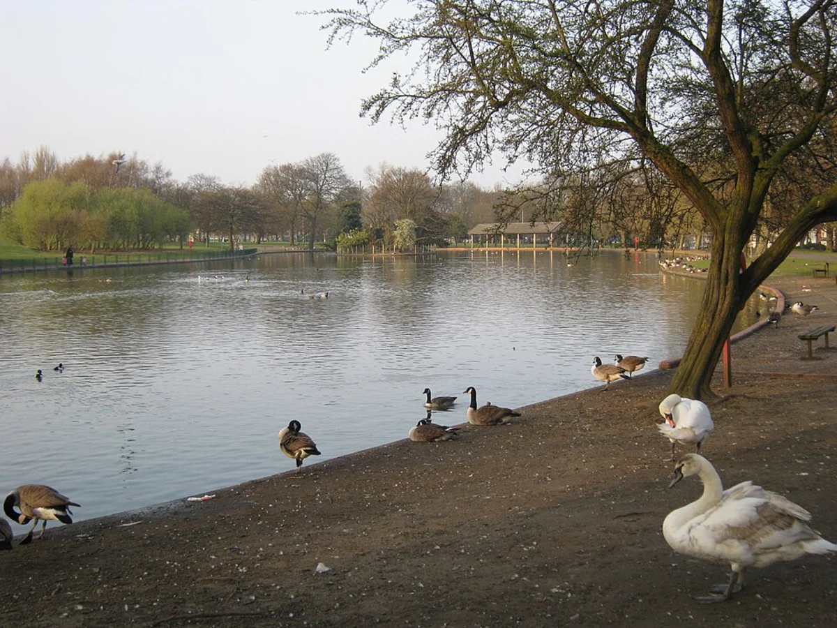 Small Heath Park Loop