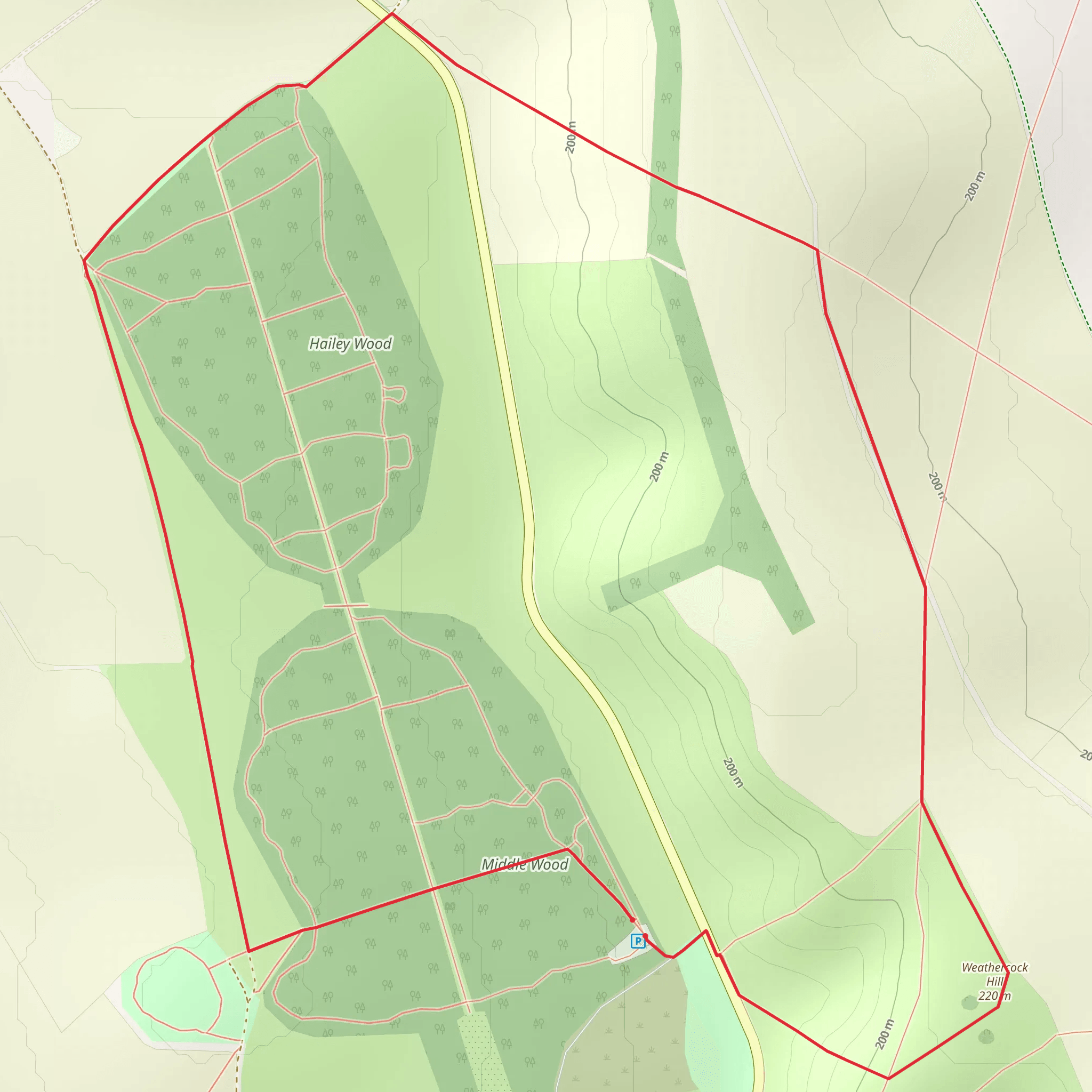 Ashdown Park and Weathercock Hill Loop mobile static map