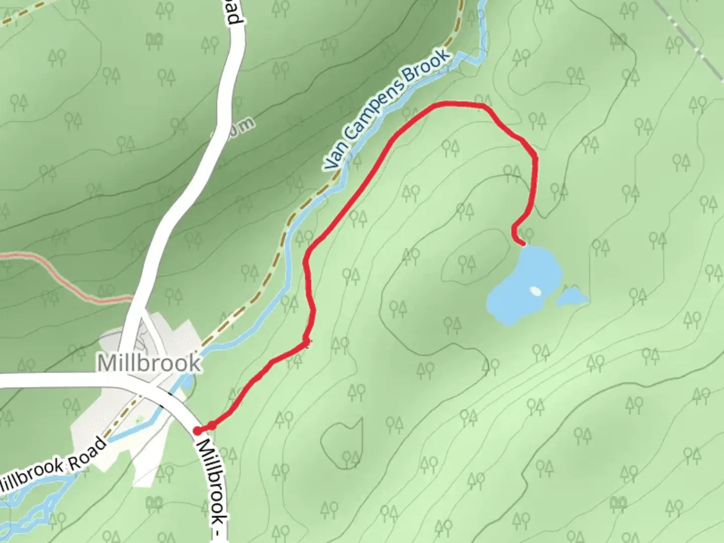 An image depicting the trail Coventry Pond Trail and its surrounding area.