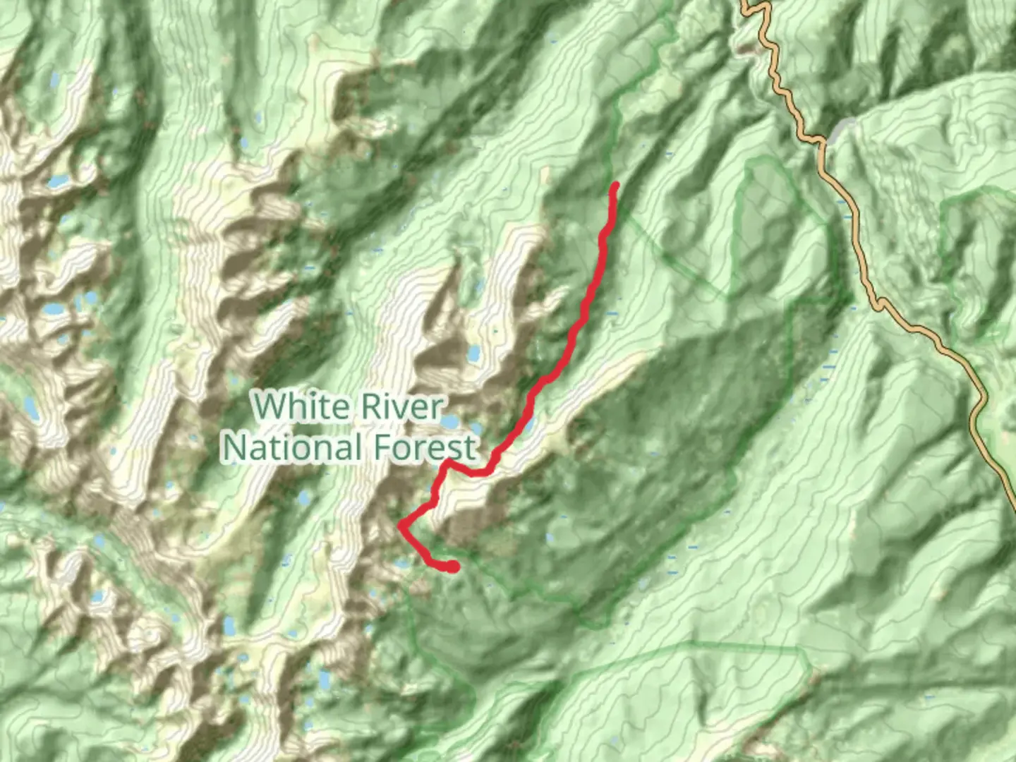 An image depicting the trail Fall Creek Trail and its surrounding area.