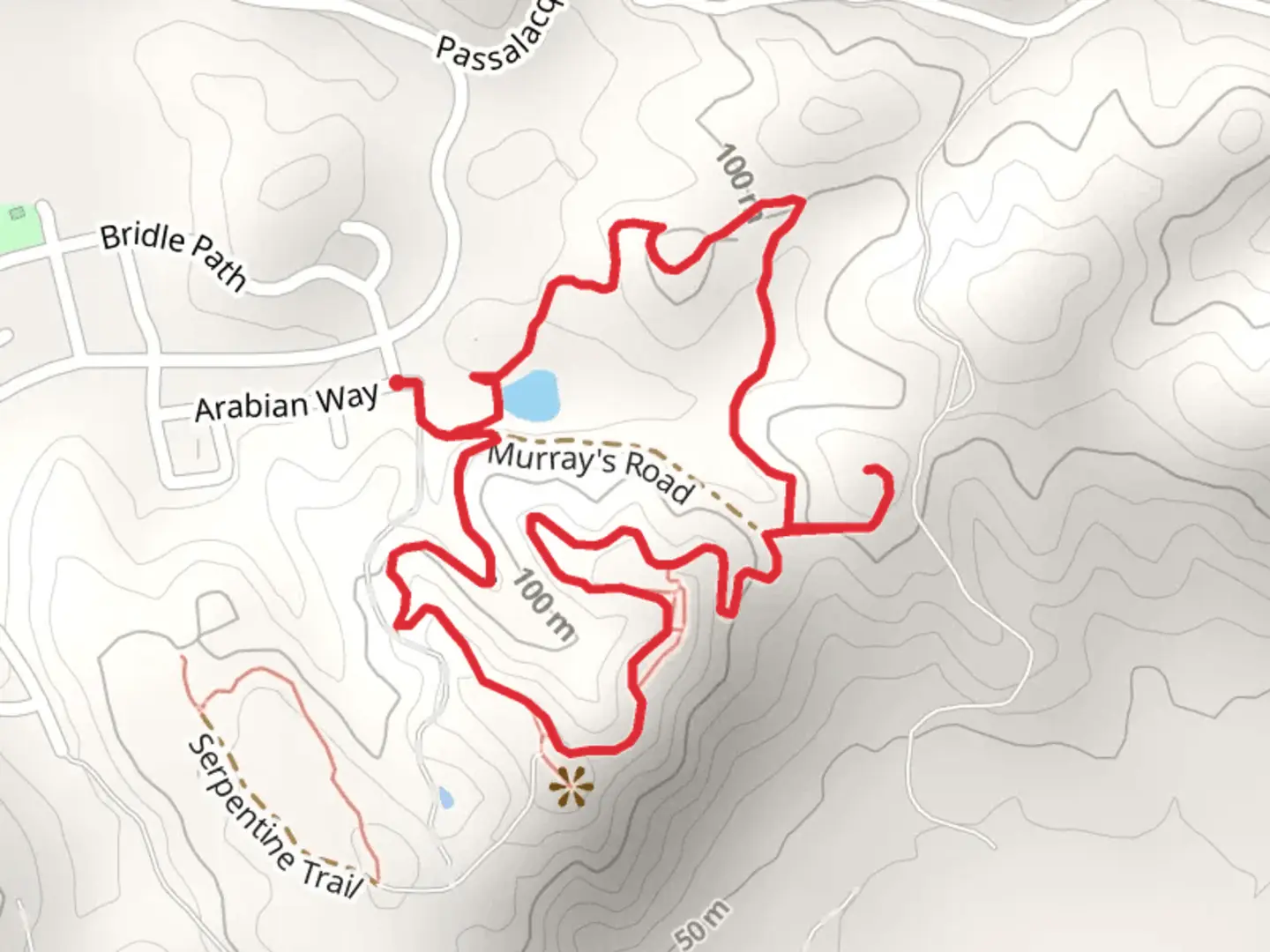 An image depicting the trail Nancy's Hill and All The Oaks Loop Trail and its surrounding area.