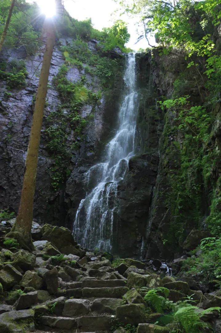 An image depicting the trail Burgbachwasserfall Walk from Schapbach and its surrounding area.