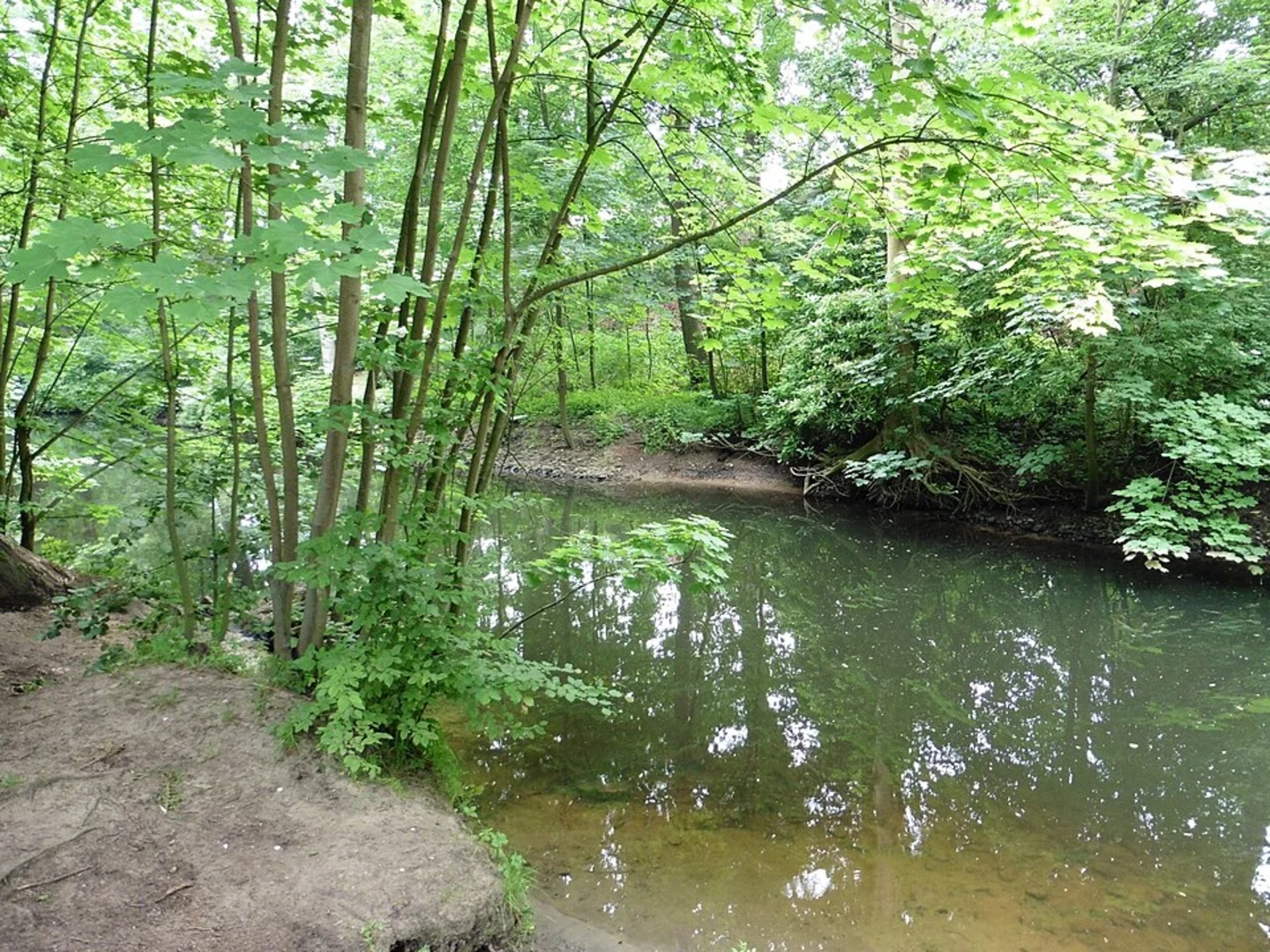 An image depicting the trail Alster Wanderweg and its surrounding area.
