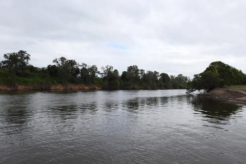Wingham Brush Boardwalk