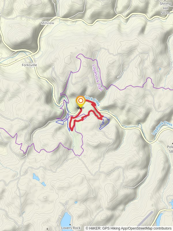 Loyalsock Trail and Canyon Vista Trail - Blue