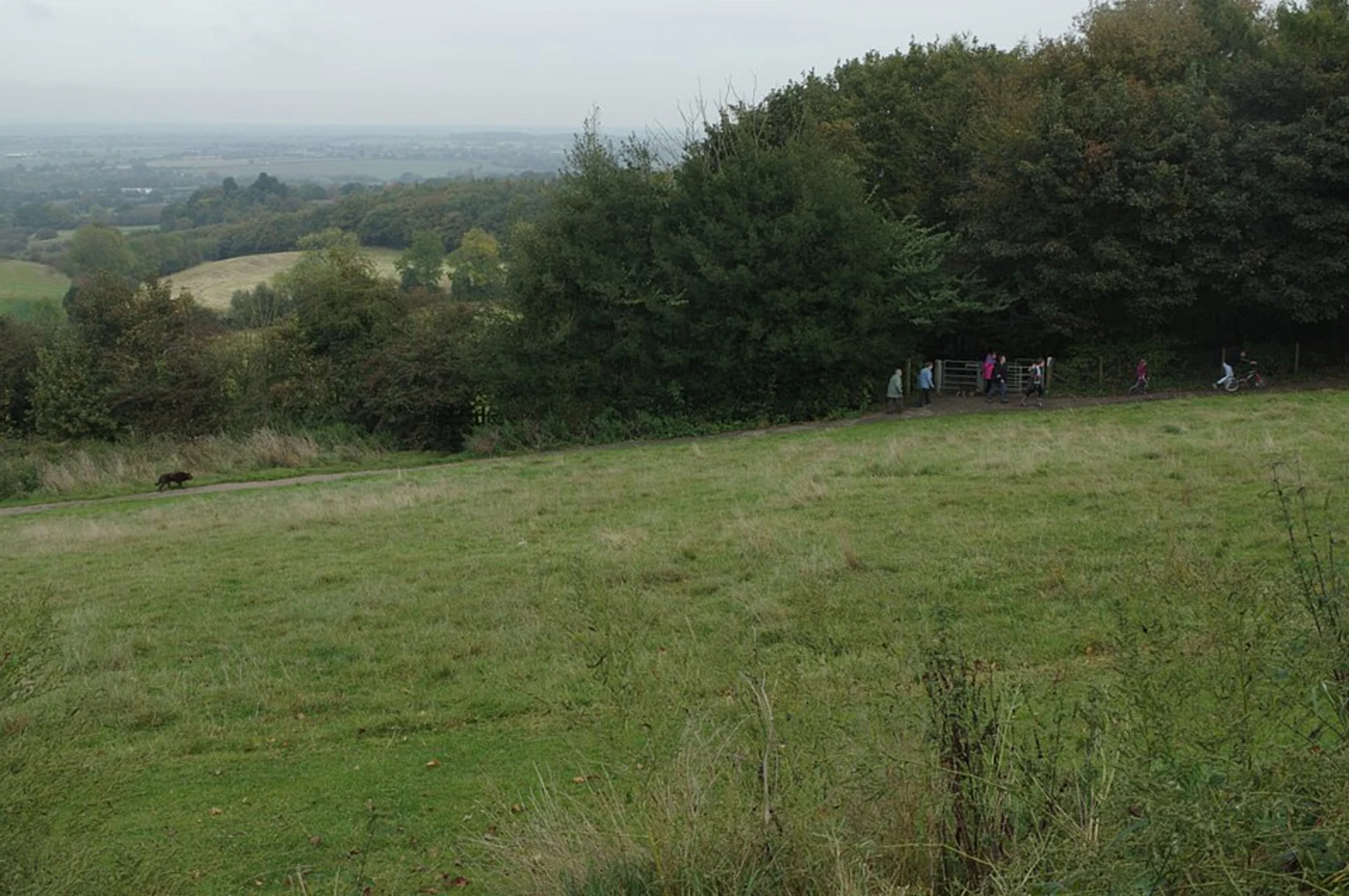 An image depicting the trail Hartshill Hayes Country Park via N Arden Trail and its surrounding area.