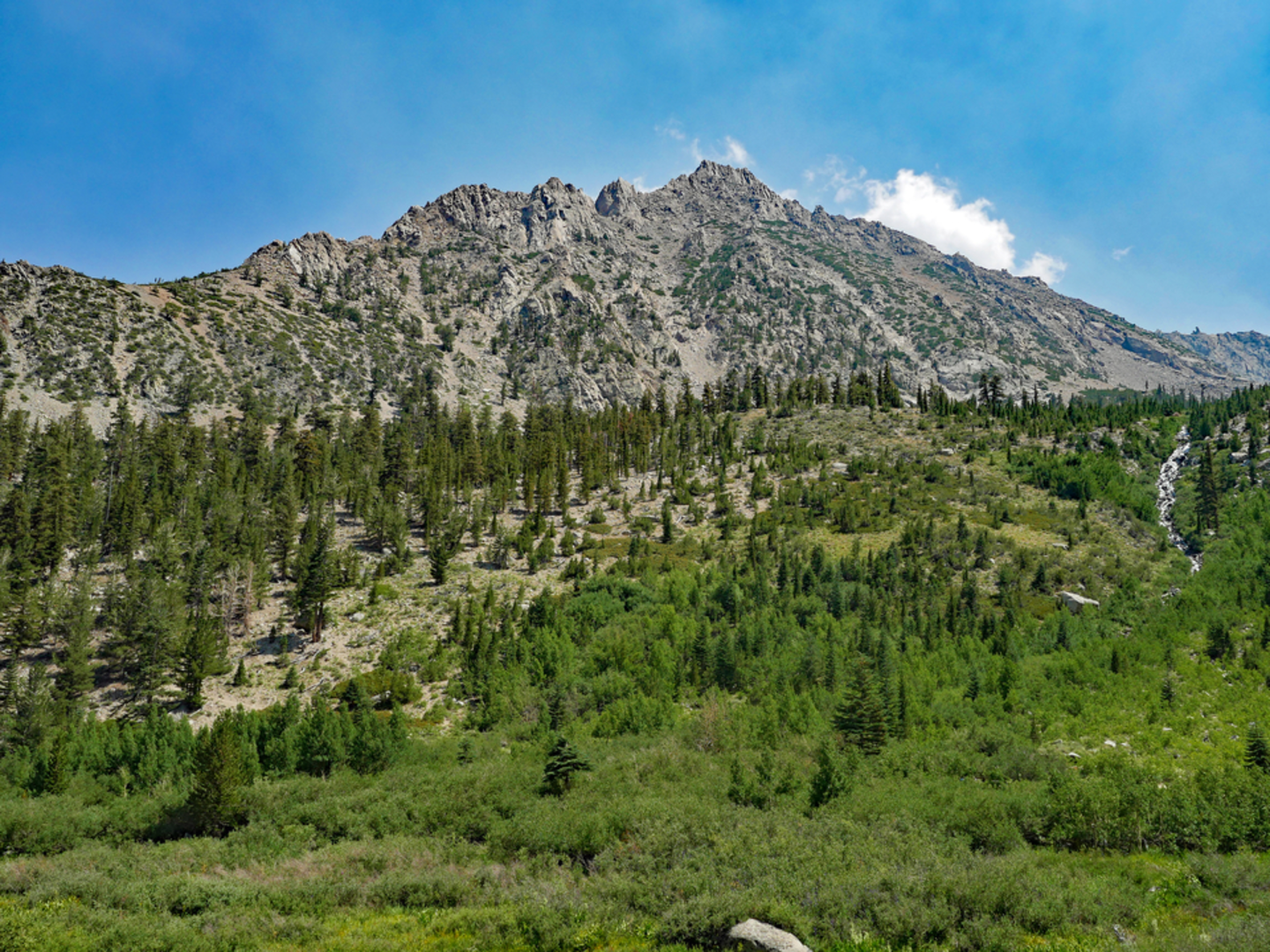 An image depicting the trail Robinson Lake Trail and its surrounding area.