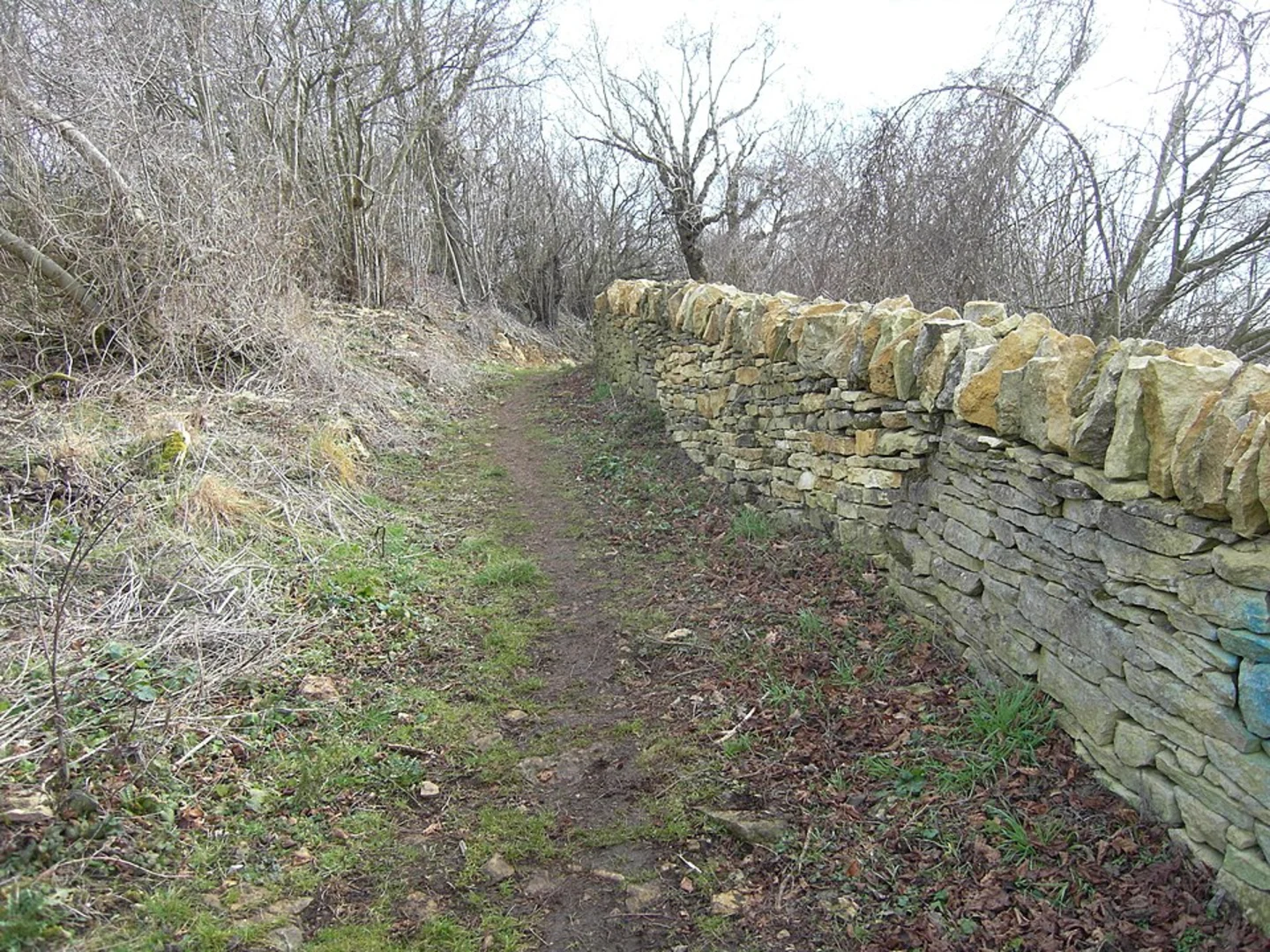 An image depicting the trail Nottingham Camp via Winchcombe Way and its surrounding area.