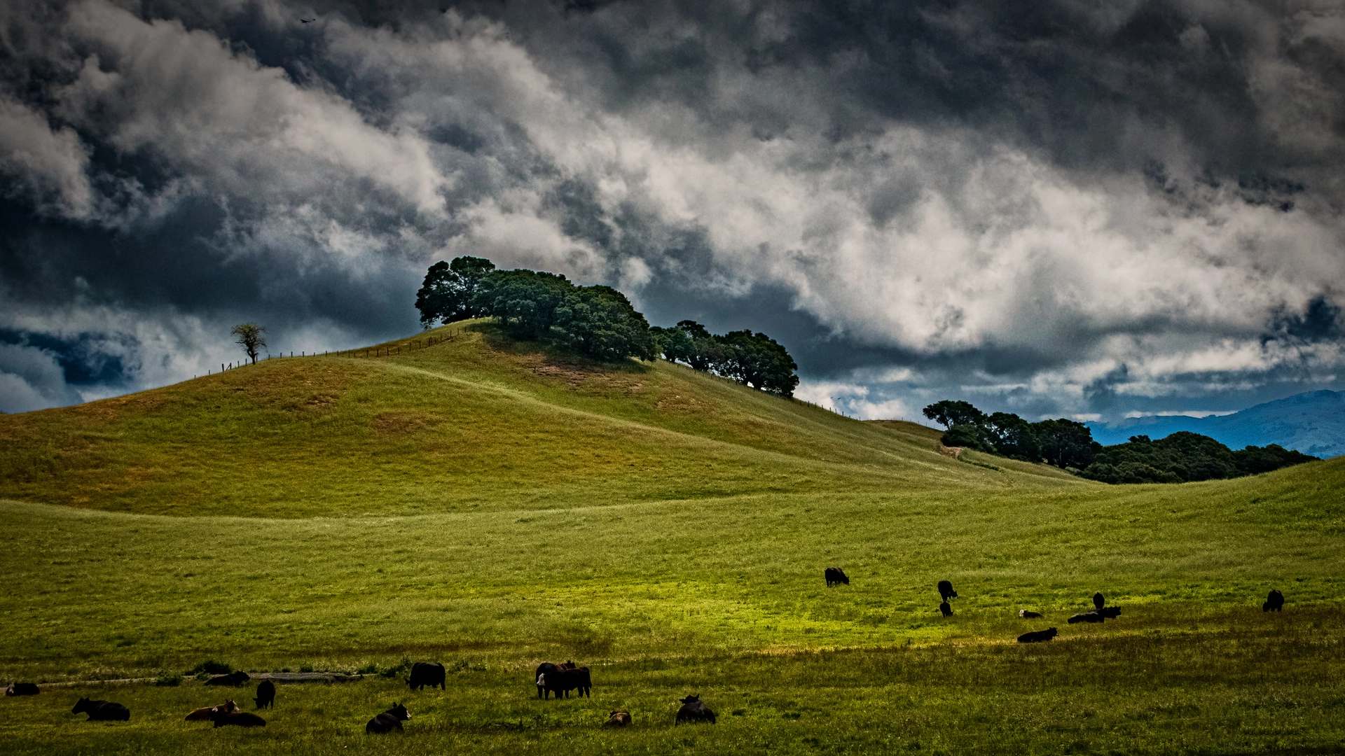 An image depicting the trail Deer Gulch and Cliff Trail and its surrounding area.