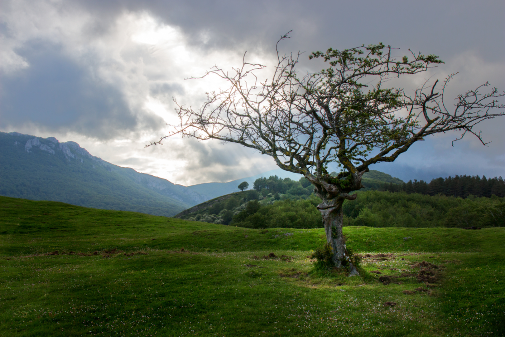 An image depicting the trail Aizkorri Slope PR GI 135 and its surrounding area.
