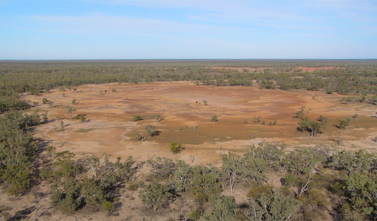An image depicting the trail Culgoa National Park and its surrounding area.