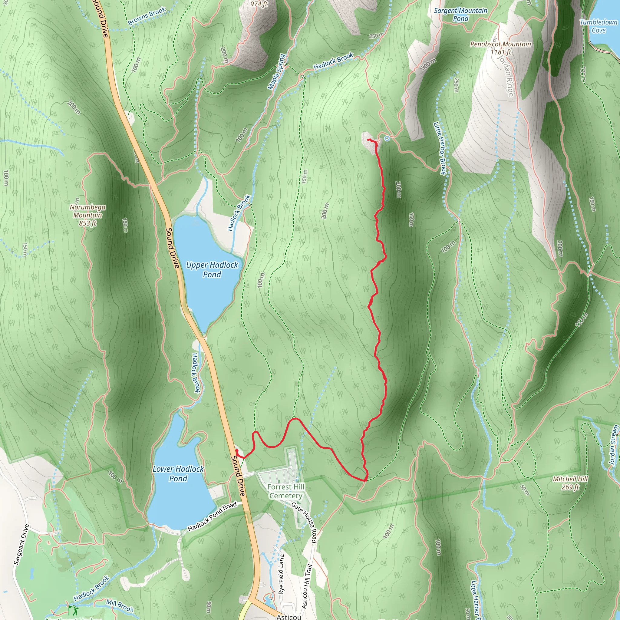 Cedar Swamp Mountain Trail mobile static map