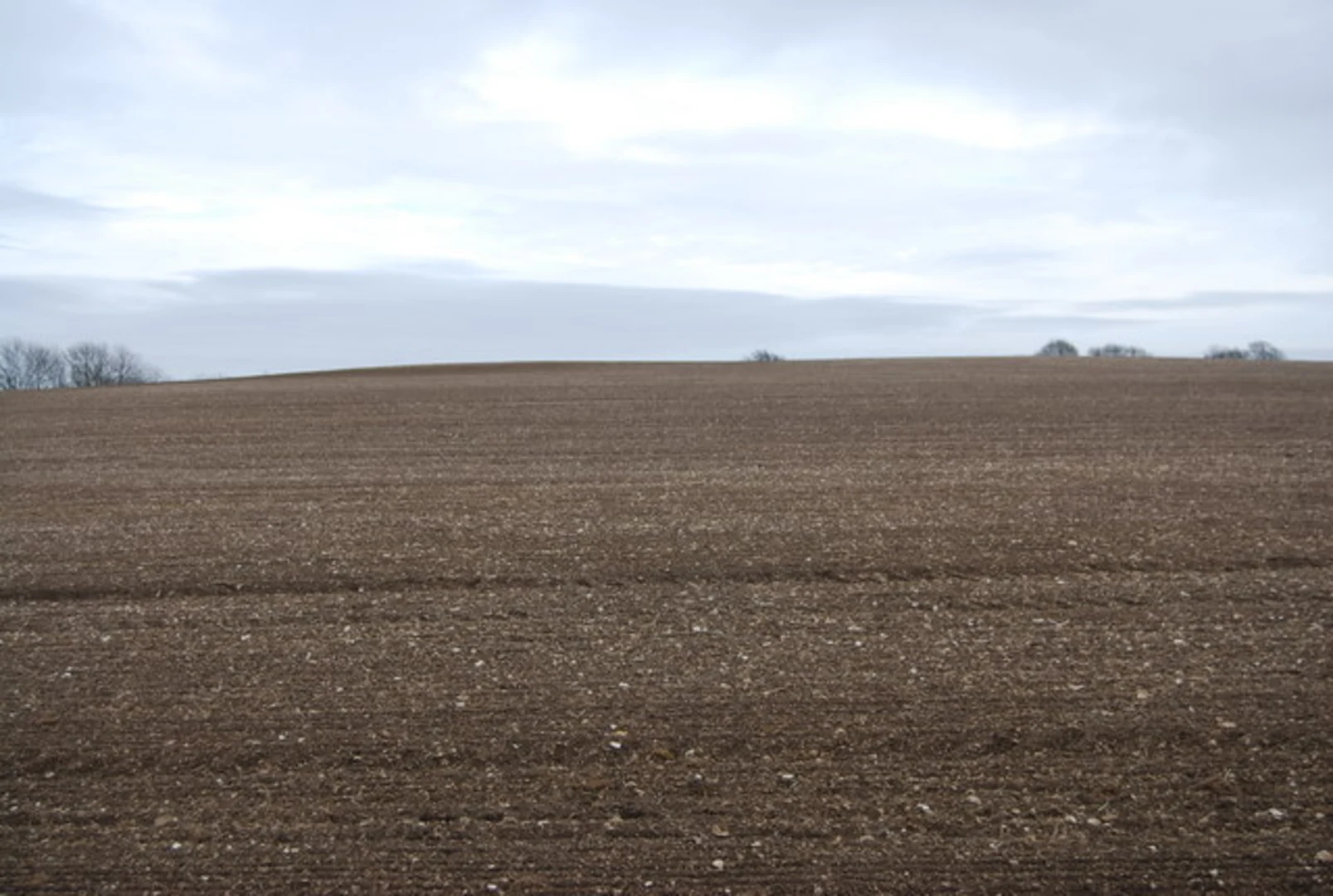 An image depicting the trail Hawkley Circular Walk and its surrounding area.