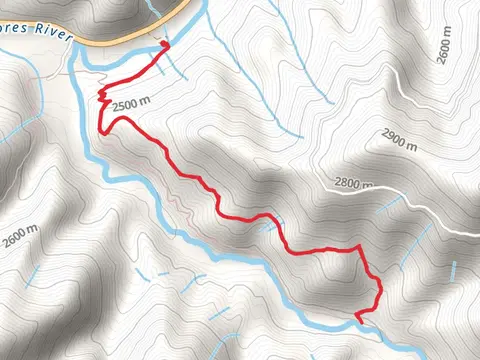 Little Bear Pack Trail