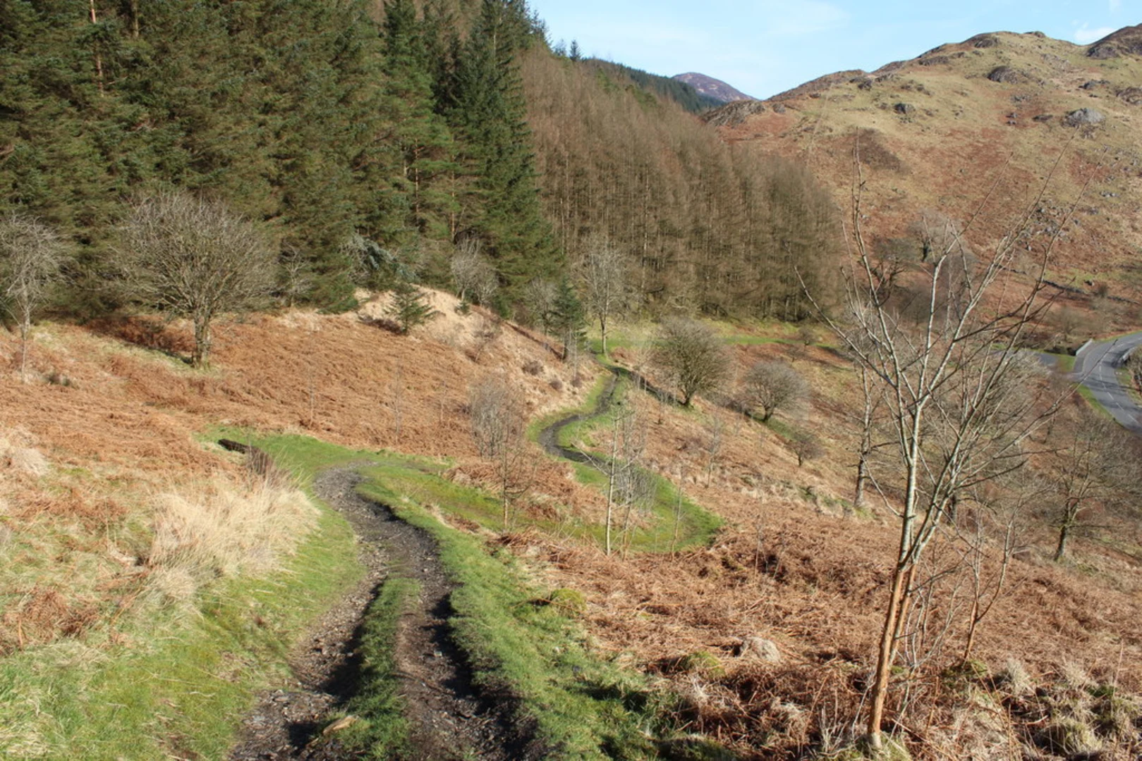An image depicting the trail Talnotry Loop Trail and its surrounding area.