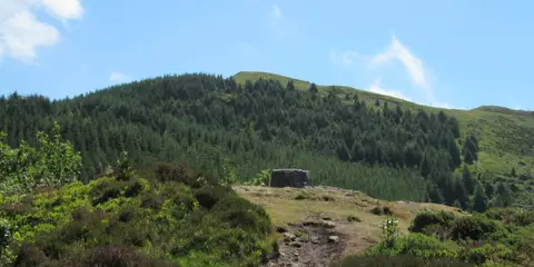 An image depicting the trail Slievemartin and its surrounding area.
