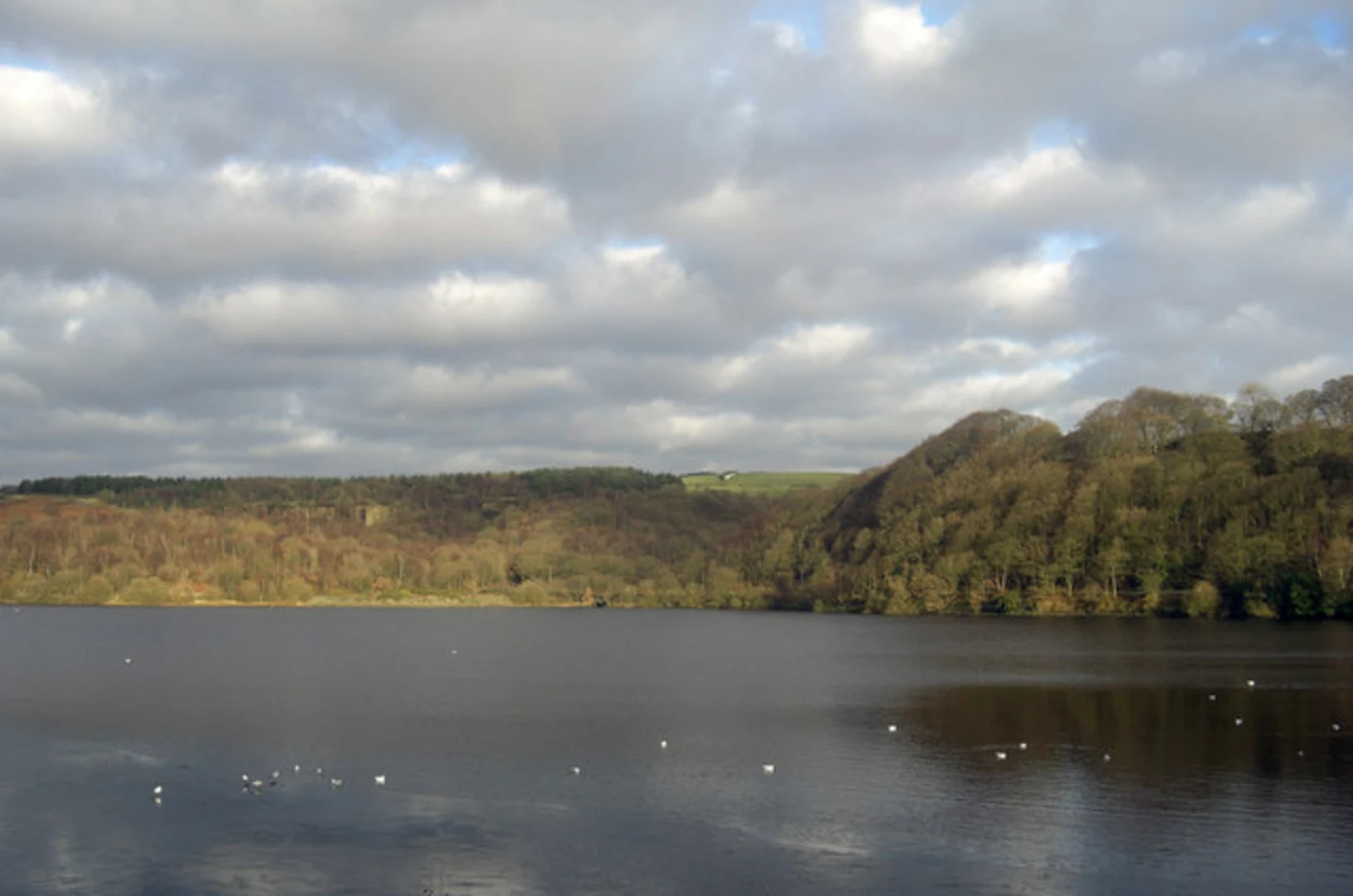 An image depicting the trail Anglezarke Reservoir Shore Walk and its surrounding area.
