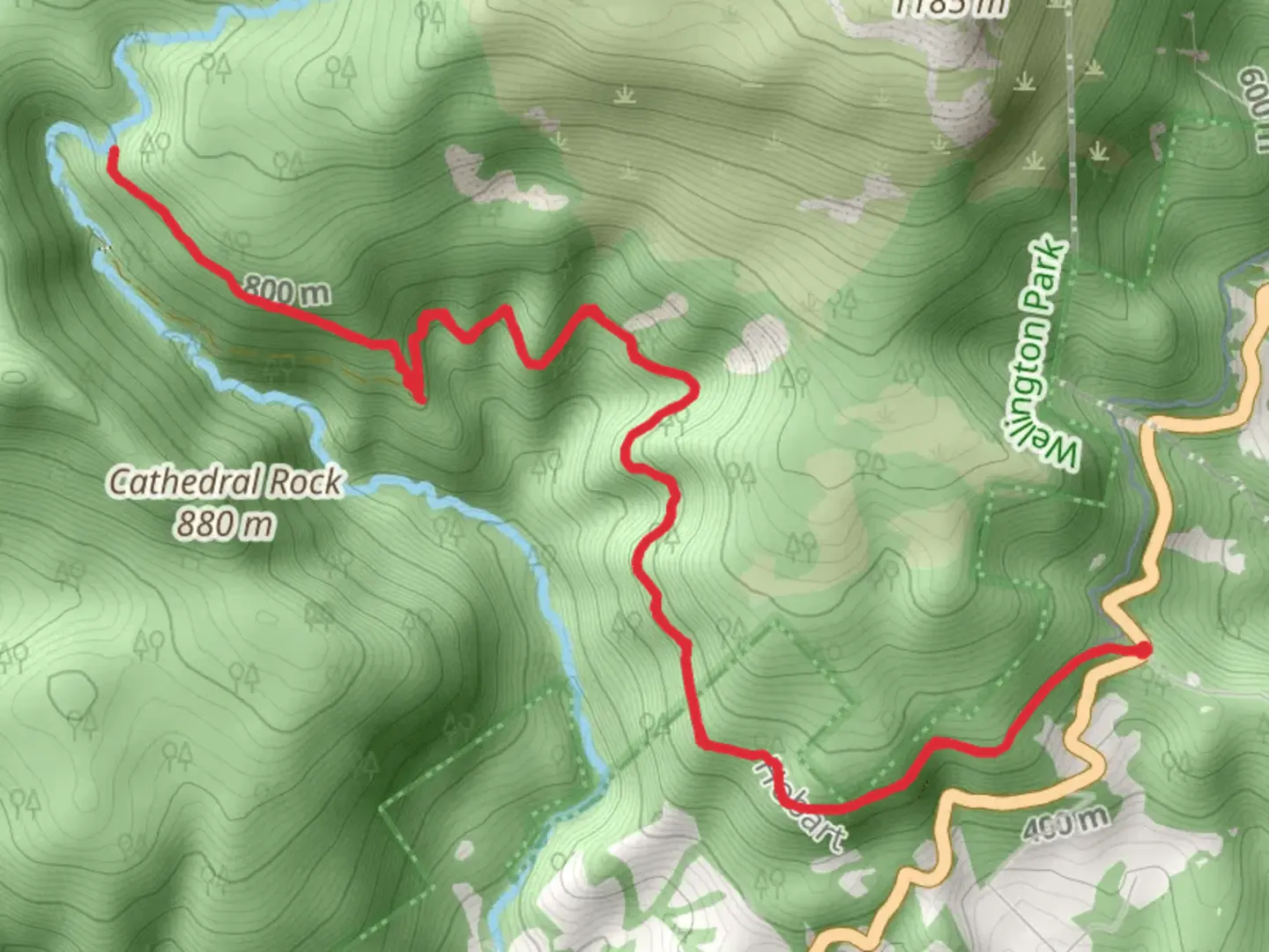 An image depicting the trail Wellington Falls Track and its surrounding area.