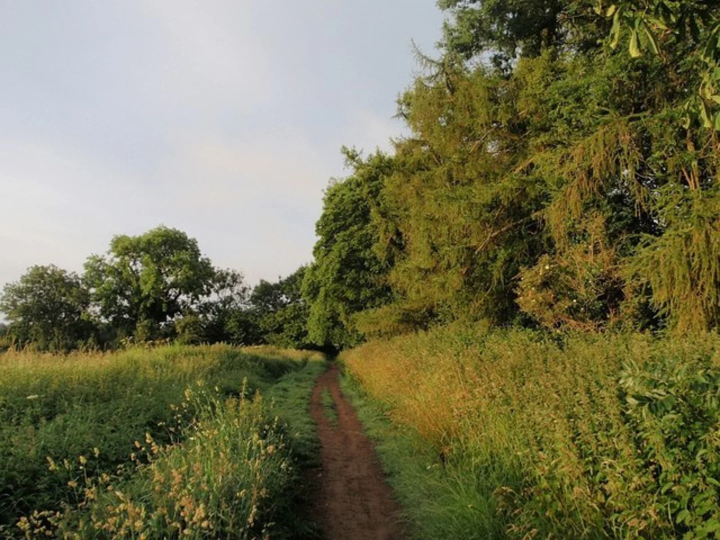 An image depicting the trail Bath Skyline Loop and its surrounding area.
