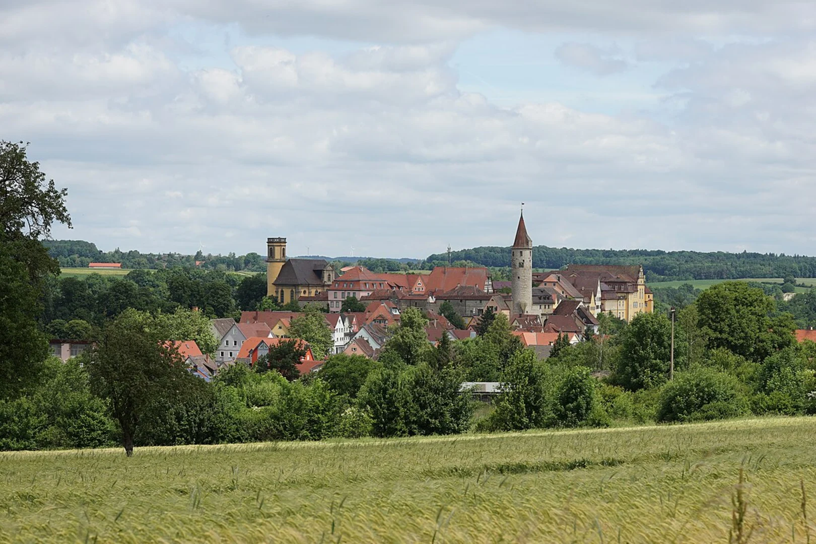 An image depicting the trail Kirchberg via Rhein Venn Weg and its surrounding area.