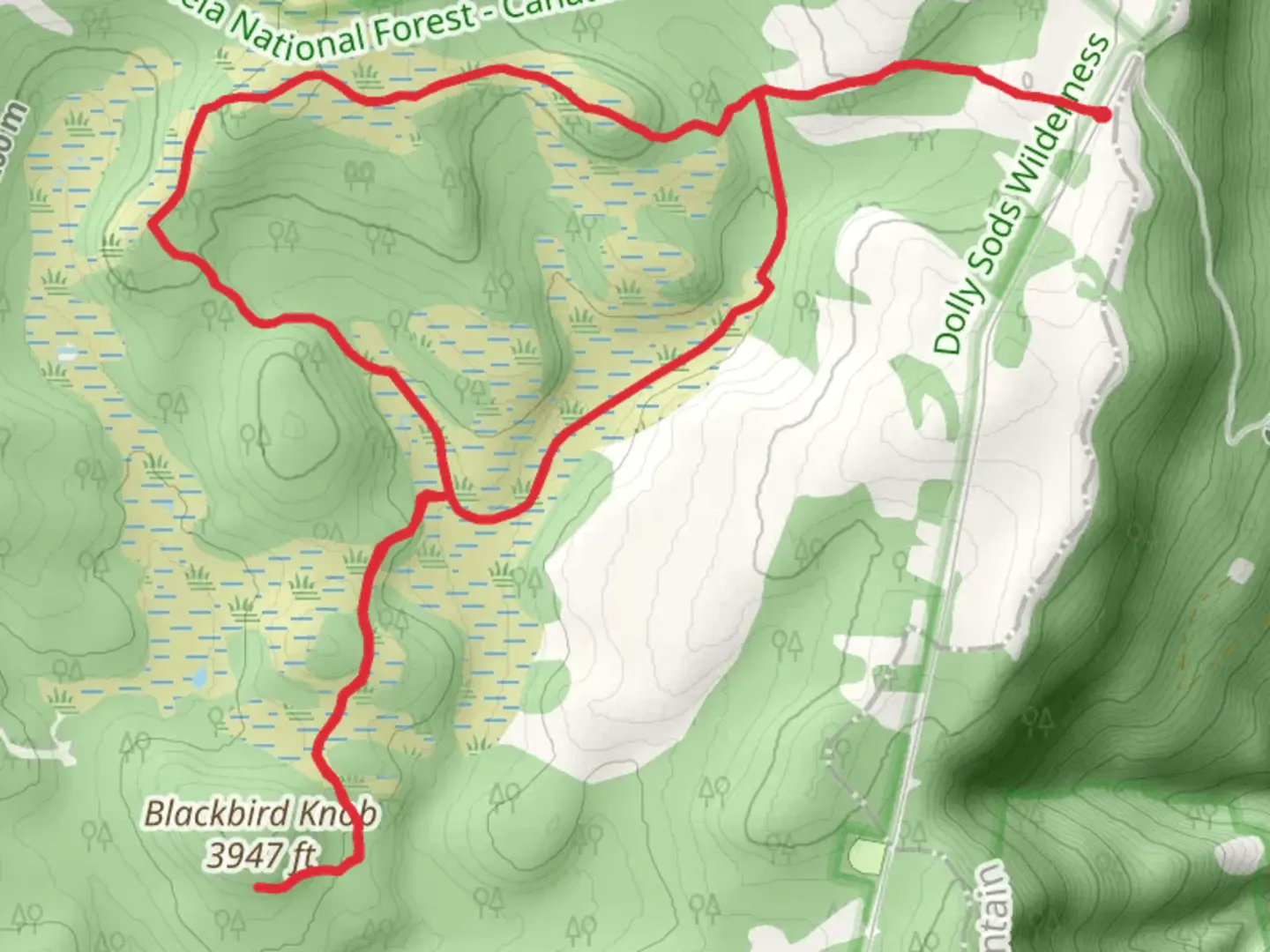An image depicting the trail Bear Rocks, Upper Red Creek and Dobbin Grade Loop Trail and its surrounding area.