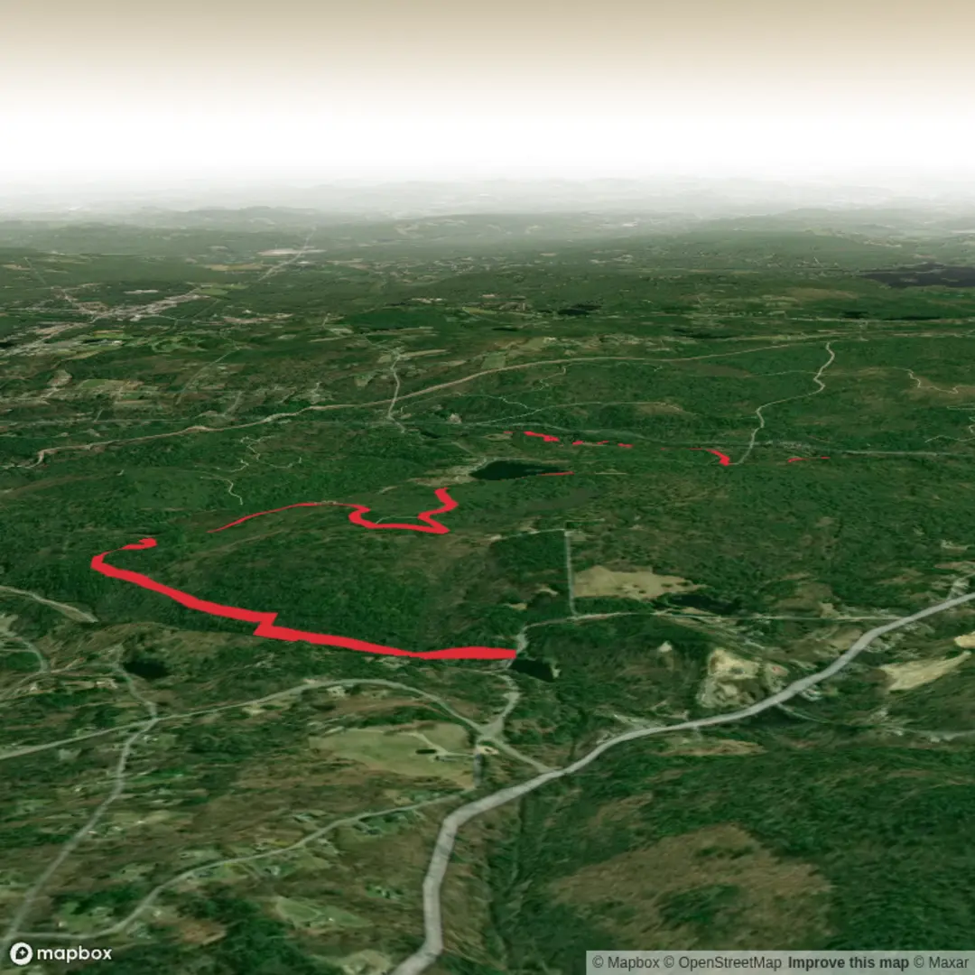 An image depicting the trail Damon Pond to Pearl Hill Brook Trail and its surrounding area.