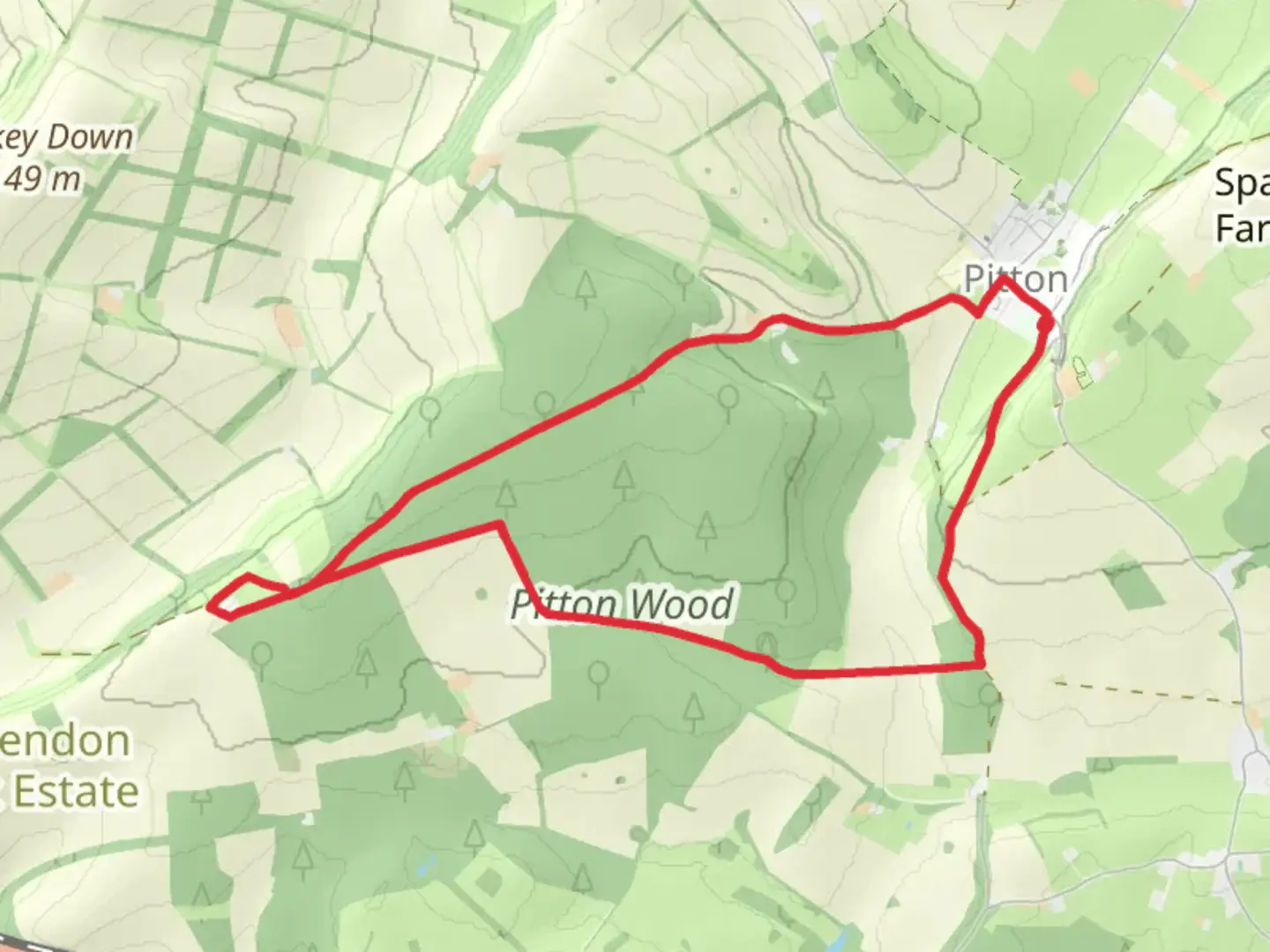 An image depicting the trail Pitton Wood Loop and its surrounding area.