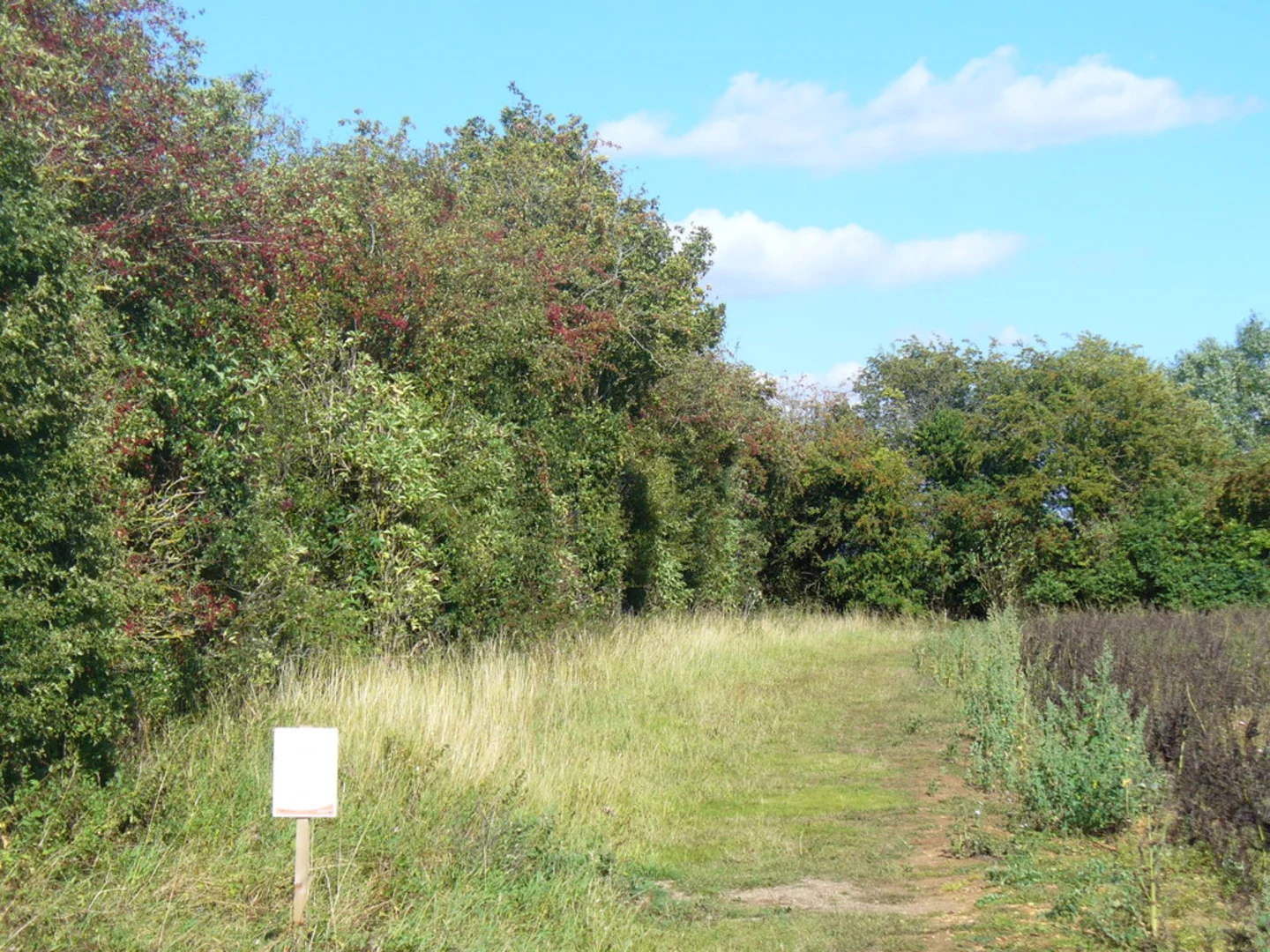 An image depicting the trail Dean Grove via Wychwood Way and its surrounding area.