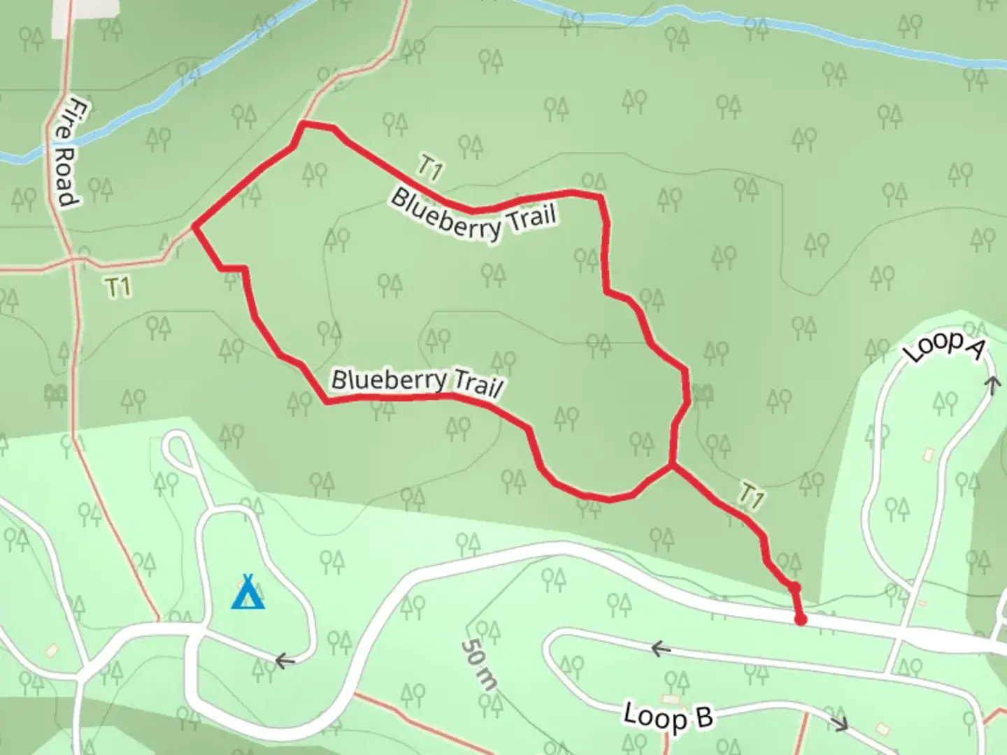 An image depicting the trail Blueberry Loop Trail and its surrounding area.