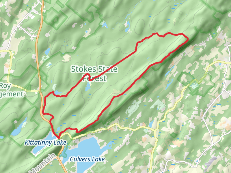 Sunrise Mountain and Swenson Trail Loop