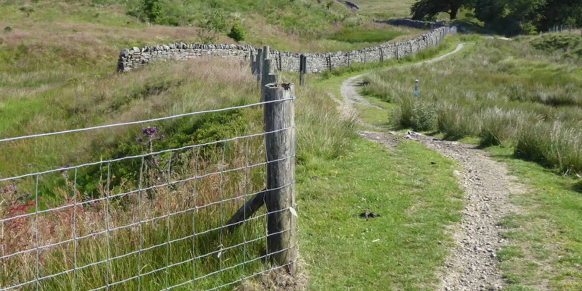 An image depicting the trail Mary Towneley Loop via Pennine Bridleway and its surrounding area.
