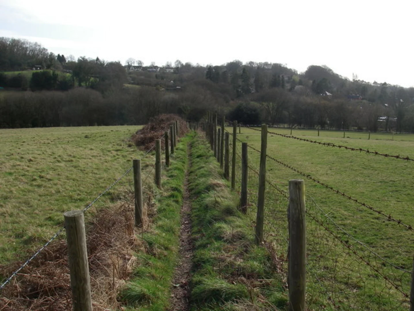 An image depicting the trail Stuckton Iron Works and its surrounding area.