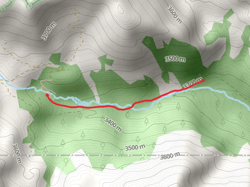 Geneva Creek Iron Fens Trail